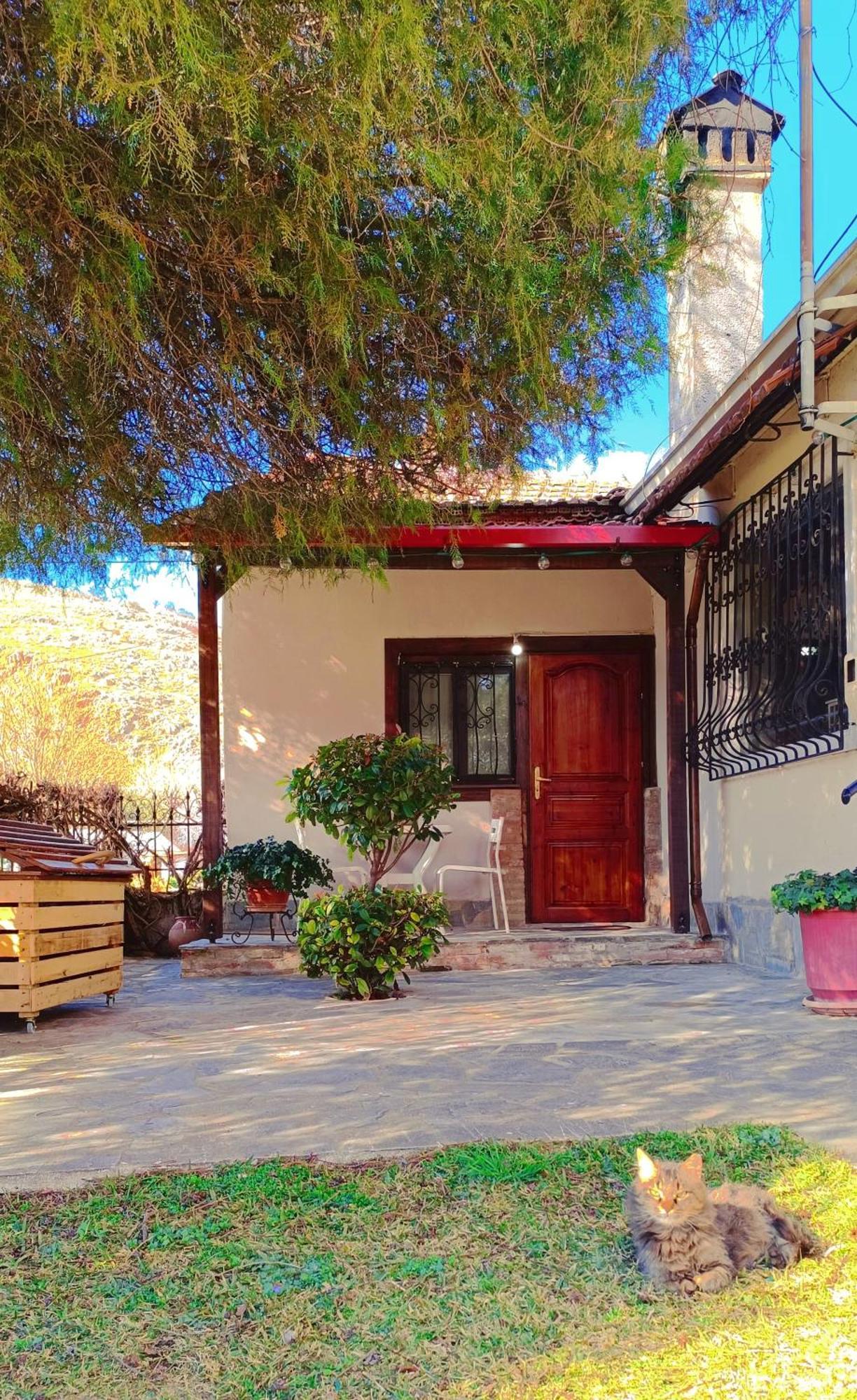 Το Πέτρινο Σπιτάκι Lägenhet Tríkala Exteriör bild